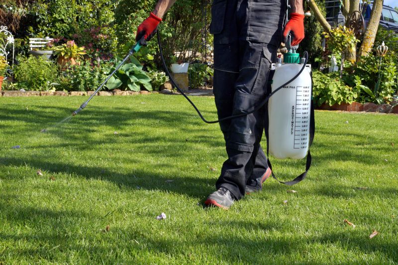 Lawn Repair