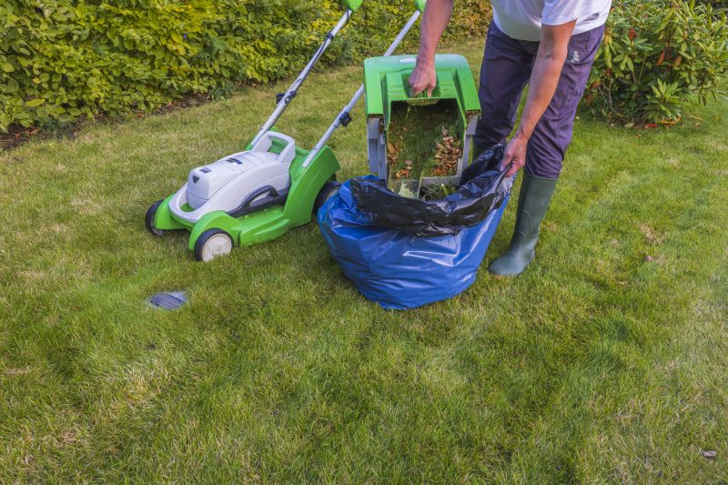Lawn Repair