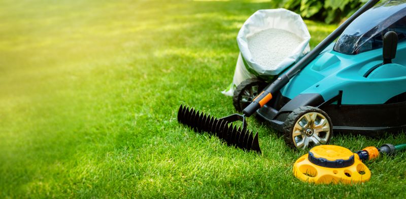 Lawn Repair
