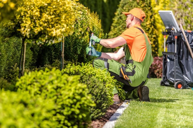 Damaged Yard Repair