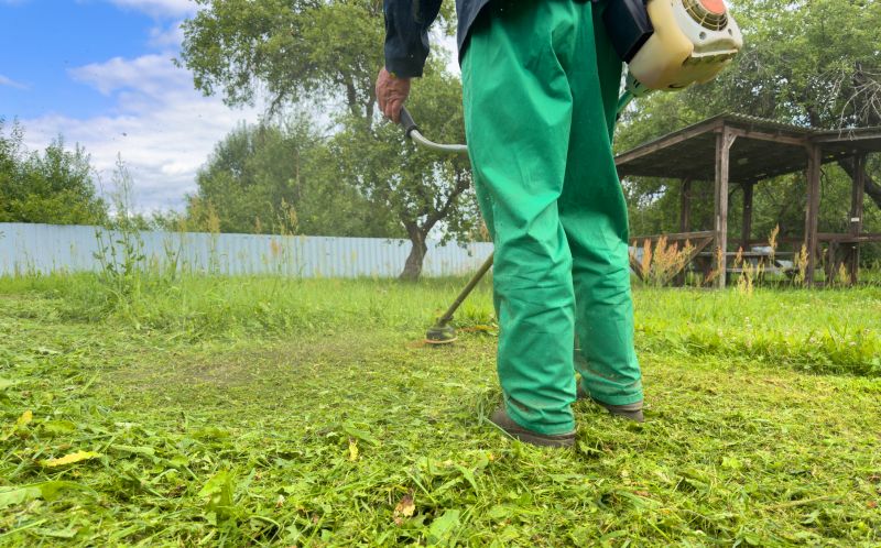 Grass Repair