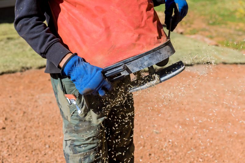Grass Repair