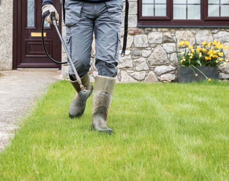 Lawn Erosion Repair