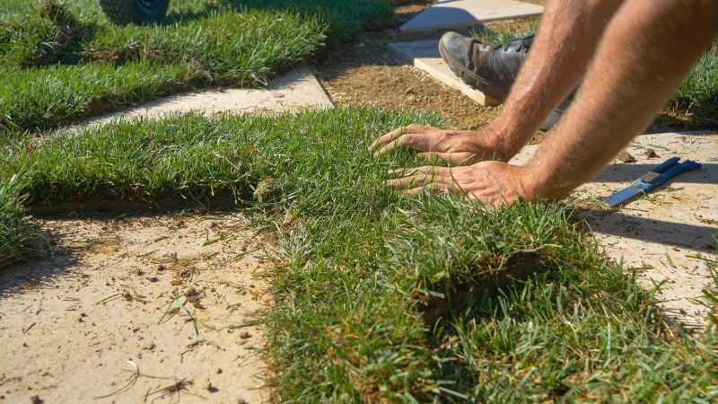 Lawn Repair detail