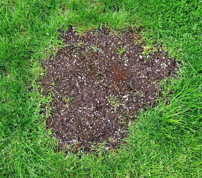 Lawn Repair detail