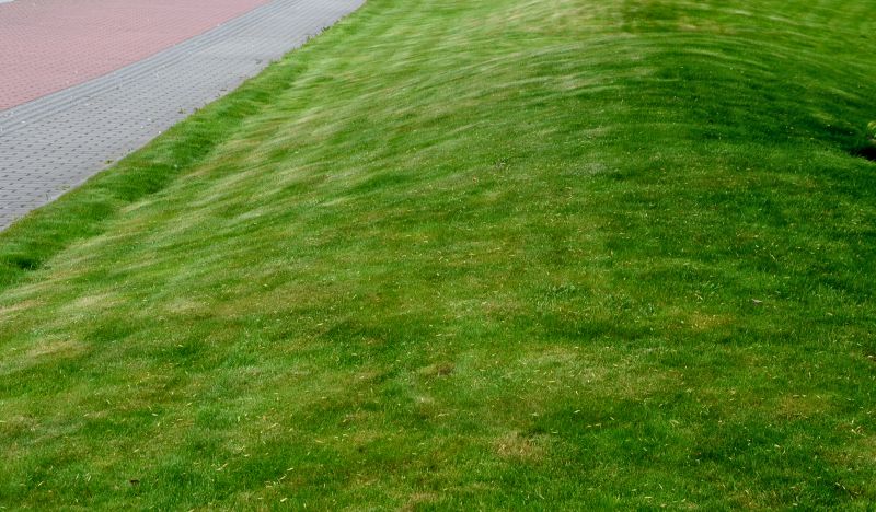 Lawn Repair detail