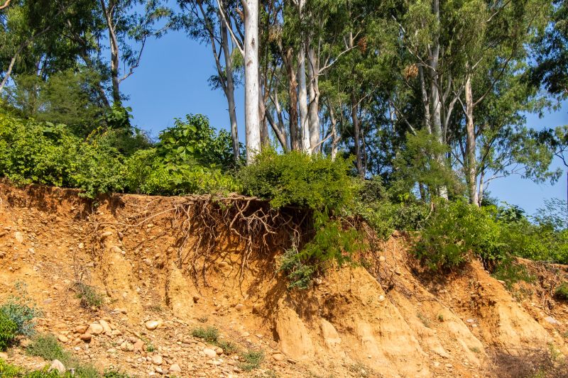 Lawn Erosion Repair