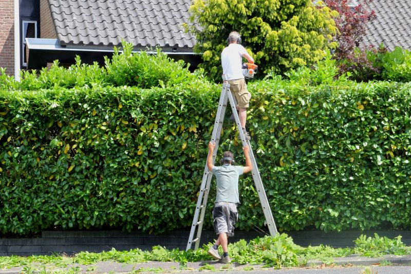 Hedge Installation