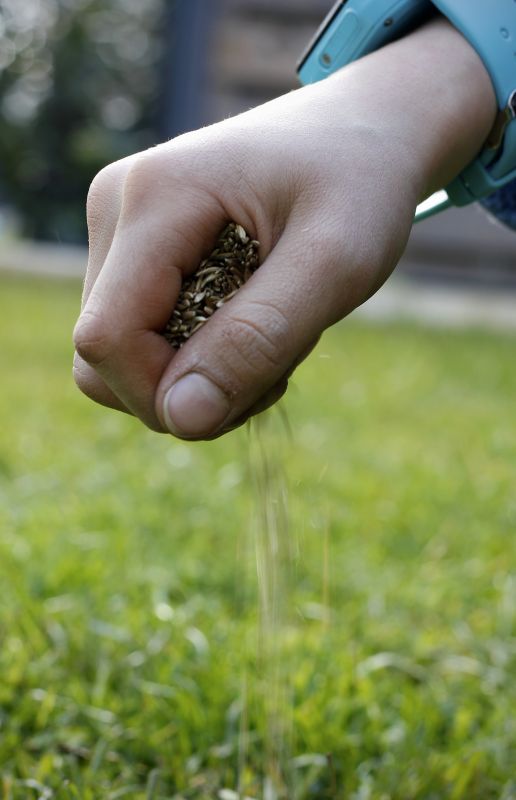 Lawn Repair