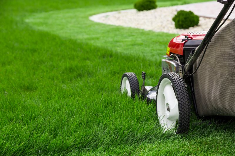 Lawn Repair