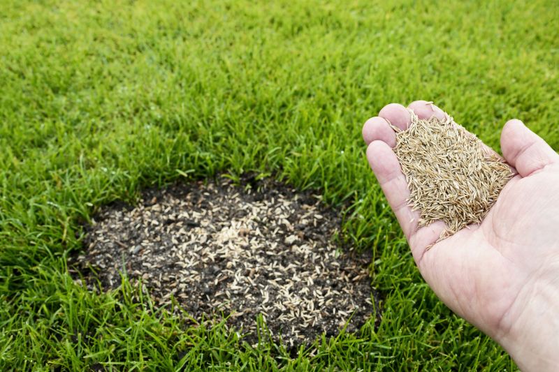 Lawn Repair