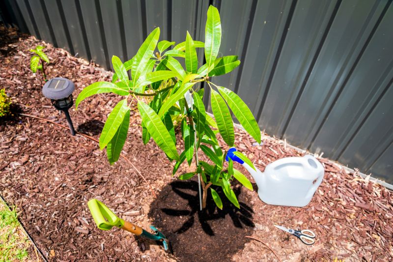 Weeding And Mulching